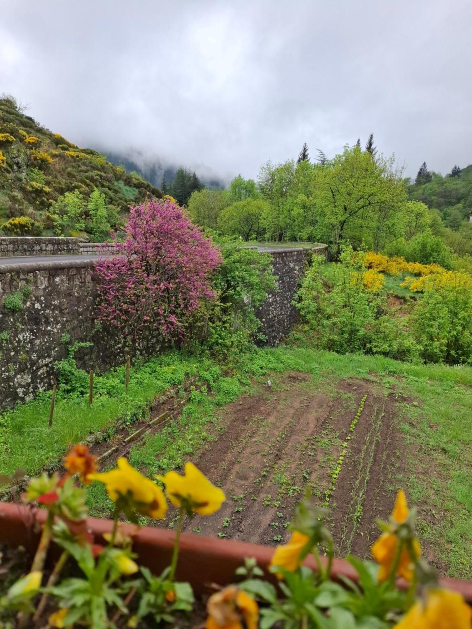 Auberge Arthea Laviolle ภายนอก รูปภาพ